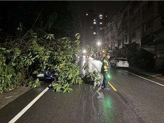凱米颱風帶來強風豪雨 基隆多處路樹倒塌