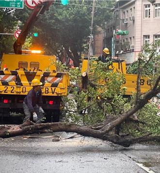 凱米強颱！北市大同區2路樹倒塌壓毀2車