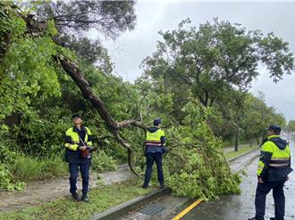 凯米颱风肆虐南屯路树倒塌 台中美式卖场未见人潮
