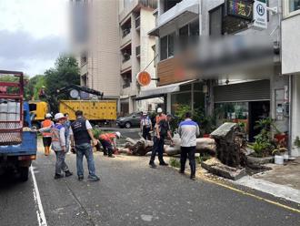 凱米肆虐間歇風雨釀災 台中忠太西路樹倒佔車道