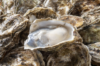 台灣人愛吃蚵仔 年砸3.6億跟「這國家」買 嗑掉8成出口量