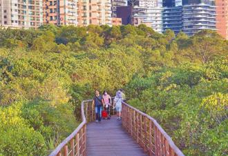 紅樹林方法學爭議、環團憂生態浩劫 彭啟明這樣說