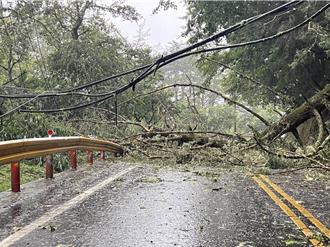 凱米颱風發威 台中風力破10級逾萬戶停電