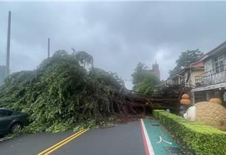強颱凱米發威！　中市10人受傷就醫 2人住院治療中