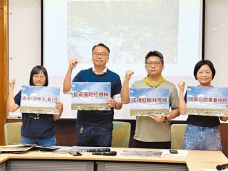 红树林植林 环团吁勿夸大碳匯功能