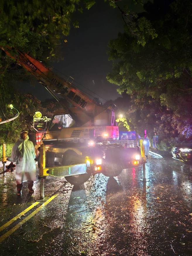 仰德大道三段221巷口路树24日凌晨突然倒塌。( 叶庭欣/翻摄 )
