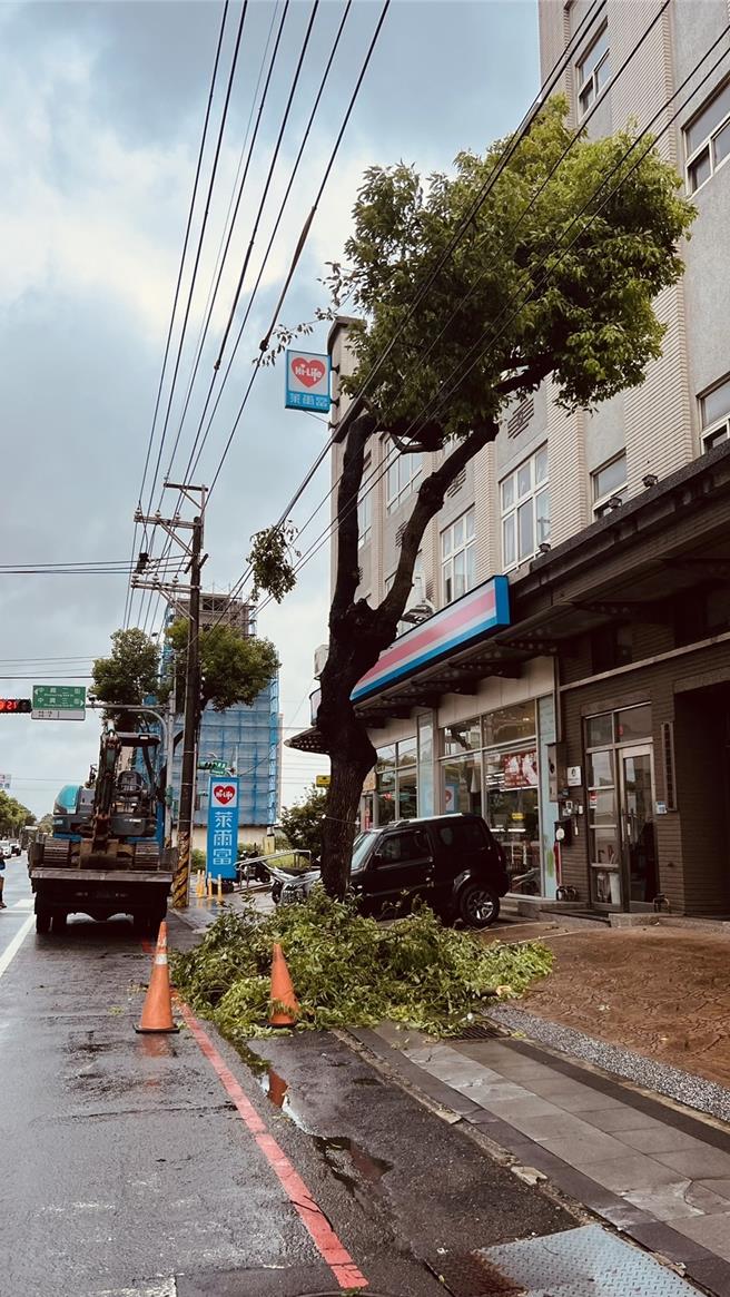 桃园市芦竹区中兴路118号门前，因路树碰触高压导线，导致摩擦后高压电缆线着火。（姜霏摄）