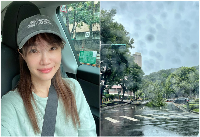 萧彤雯拍下大树倒下的惨状。（图／萧彤雯脸书）