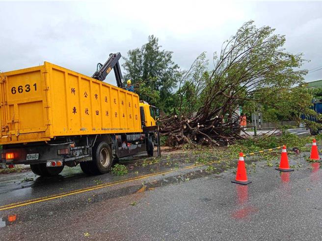 花蓮市區多處路樹倒伏。（花蓮市公所提供／王志偉花蓮傳真）
