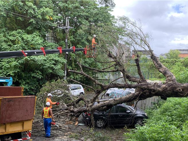 凱米颱風來襲，桃園市龜山區幸福里1棵樹連根拔起，1輛轎車恰好停在倒塌處被壓到。幸福里里長張素伶表示，該處私人土地多，要修樹受限於私人地主，希望政府重視。（警方提供）