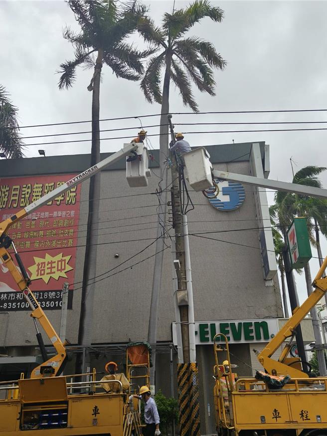 彰化县员林市因颱风外围环流引起大王椰子树叶压住高压线路，导致员林市中正路及三条街一带共3254户停电。（台电提供／孙英哲彰化传真）