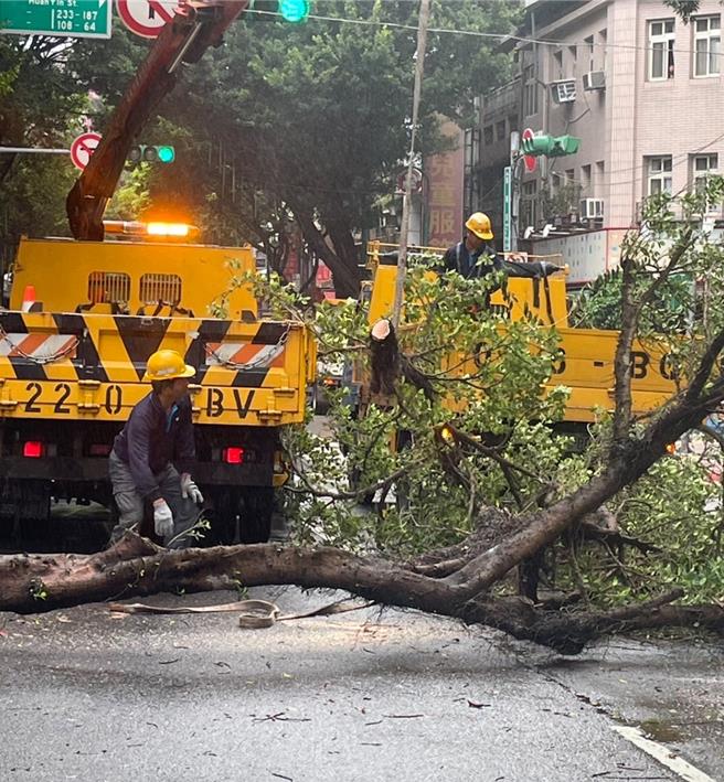 大同區發生路樹倒塌。（警方提供）