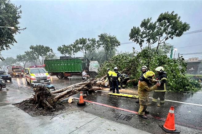 高雄街上滿目瘡痍，已有路樹倒塌等災情傳出。（警方提供）