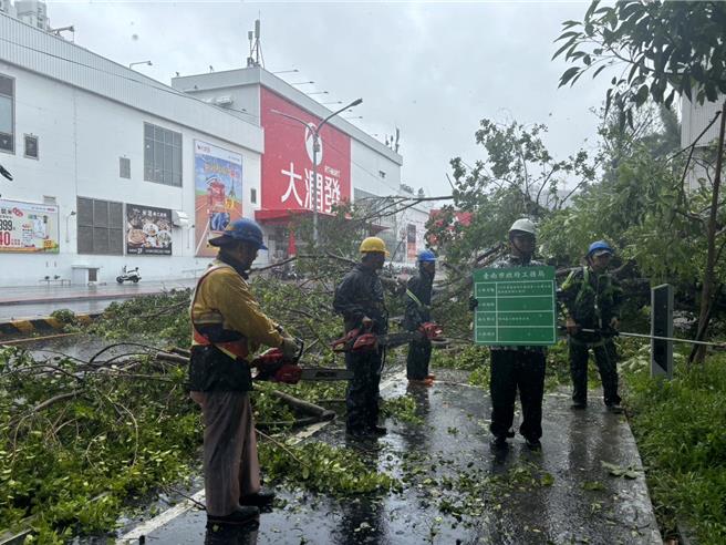 凯米颱风来势汹汹，台南市至下午3点接获196件灾情，其中以路树倒塌占大宗，共118件。(工务局提供／曹婷婷台南传真)