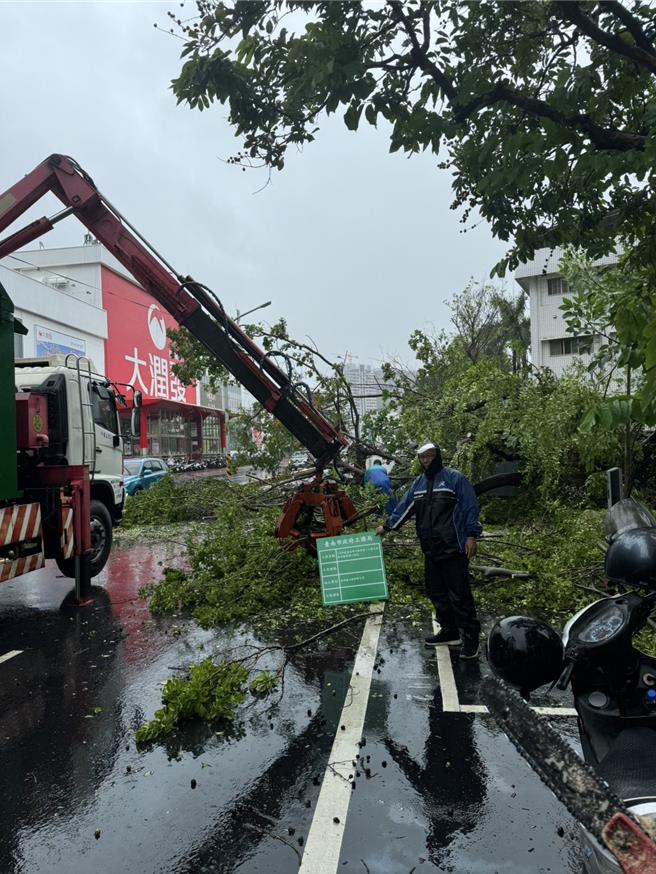 凯米颱风来势汹汹，台南市至下午3点接获196件灾情，其中以路树倒塌占大宗，共118件。(工务局提供／曹婷婷台南传真)