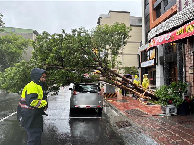 高雄市区刮起强风，路旁休旅车遭倒塌路树砸中。（民眾提供／任义宇高雄传真）