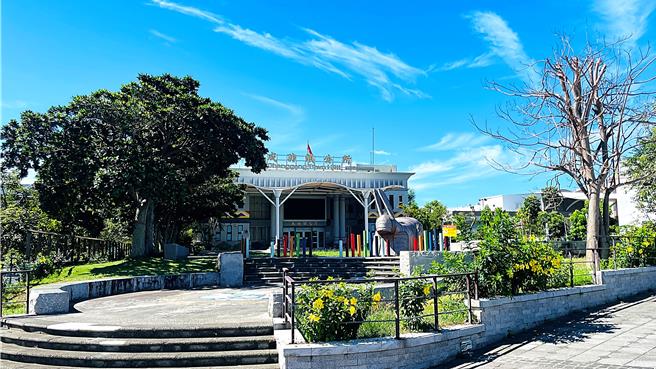 成功鎮公所前種植老樹去年颱風期間已枯死，因應防颱整備，被以「腰斬式」修剪。（蕭嘉蕙攝）