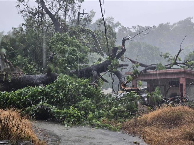高雄遭到强颱凯米肆虐。（台电提供）