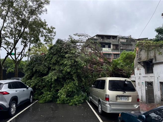 据台北市政府统计，截至下午5时止，灾情数量从128件增加至474件，其中大宗仍为路树倾倒，从72件增加至287件。图为南港玉成里松河街300号前路树倒塌。（李明贤提供／丁上程台北传真）