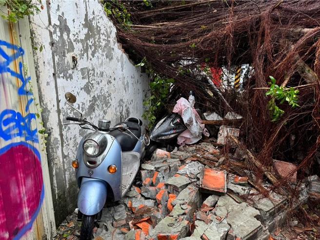 据台北市政府统计，截至下午5时止，灾情数量从128件增加至474件，其中大宗仍为路树倾倒，从72件增加至287件。图为南港玉成里松河街300号前路树倒塌。（李明贤提供／丁上程台北传真）