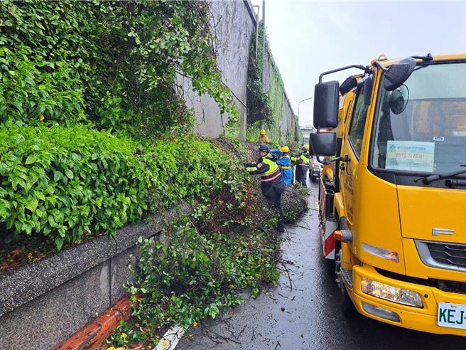 警方与清洁队员清理掉落藤蔓。（警方提供）