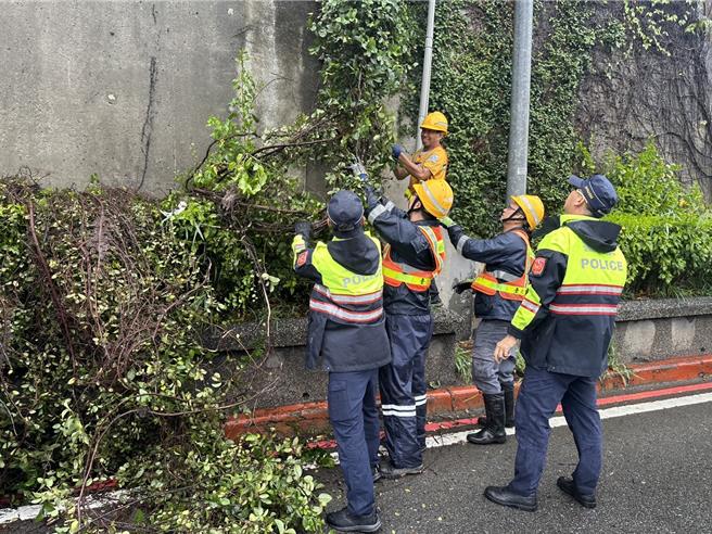 警方与清洁队员清理掉落藤蔓。（警方提供）