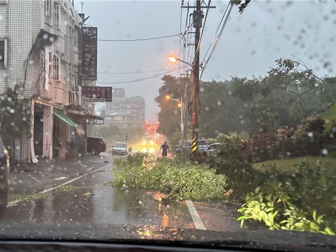 强度颱风凯米持续往台湾逼近，花莲今天傍晚已刮起14级强风，许多地方都发生路树倒塌的情况。（罗亦晽摄）