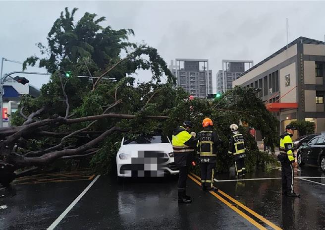 台中太平区中山路四段27号附近，一辆宾士车在路口停等红灯，突遇整排路树砸倾倒包围。（民眾提供／冯惠宜台中传真）