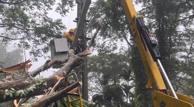 台電統計至24日20點為止，全台有32萬戶曾停電，目前仍有5.3萬戶待修，將持續搶修。（圖／台電提供）