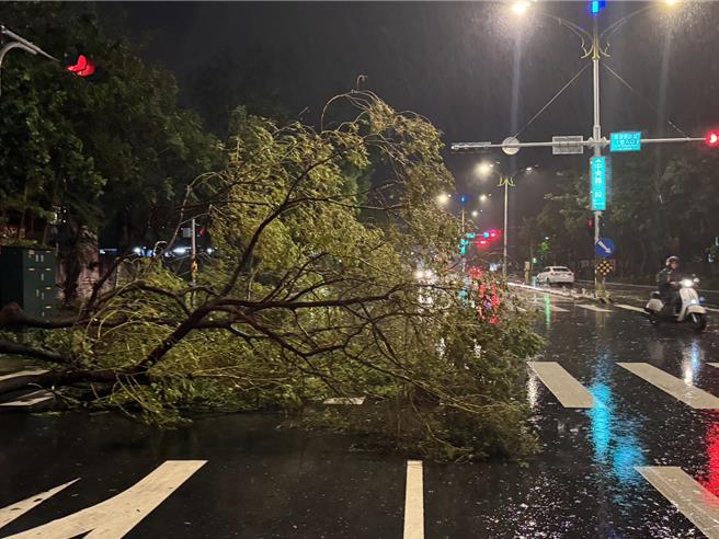 花蓮市區處處可見路樹倒伏。（民眾提供）