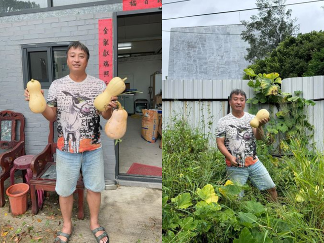 颱风来袭，王中平紧急採收南瓜。（图／翻摄王中平和余皓然爱的小屋 脸书）