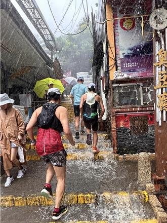 越野迷注意 壽山雨勢強大 盤榕三進三出今日公休