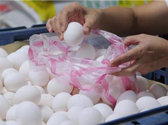 進口日本蛋檢疫證明1個月拿不出來  張啓楷：陳駿季有何難言之隱？