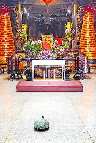 颱風夜「神龜」登門！廟方繫紅綾奉為貴客供養