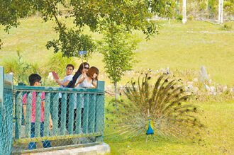 197公共建設提前終止 1293億恐落空