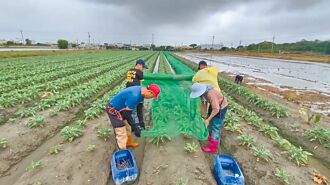 嚴防淹水 台中、彰化廣布抽水機、沙包待命