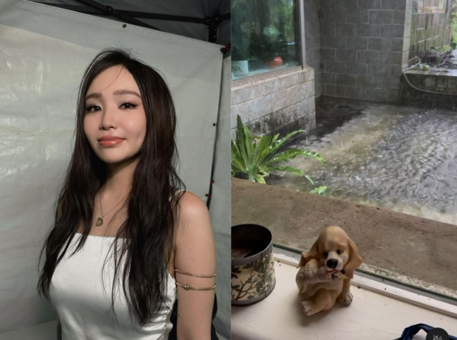 陳芳語在社群中曬出家中淹水的狀況。（圖／翻攝自 陳芳語IG、Threads）