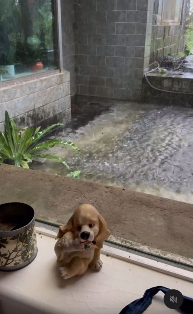 屋外淹水的情況更是誇張。（圖／翻攝自陳芳語 Threads）