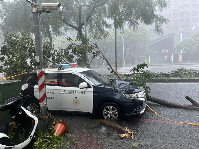 龙华派出所巡逻警车遭大树砸中，车头严重凹陷。( 叶庭欣/翻摄 )