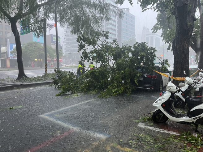 龙华派出所巡逻警车遭大树砸中，车头严重凹陷。( 叶庭欣/翻摄 )