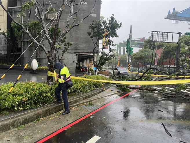 基隆市中正区东海街与中正路口路树倒塌，阻断通行，警方立即实施交通管制，通报灾害应变中心，并请相关单位到场清除。（基隆市警察局提供／徐佑升基隆传真）