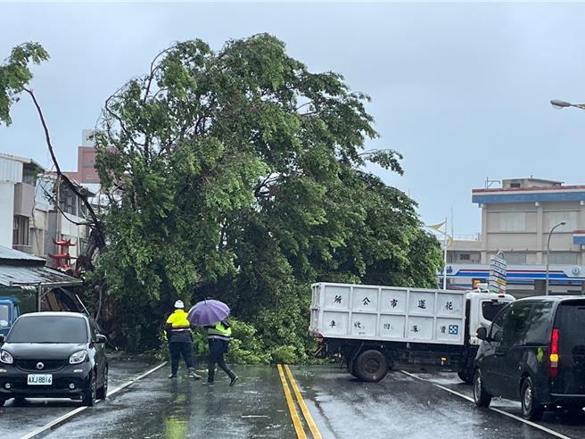 花蓮市中美路上一棵百年老榕樹倒下，市長魏嘉彥前往勘查。（花蓮市公所提供）