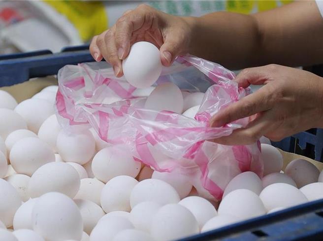 民眾黨立委張啓楷今質疑2022年日本蛋檢疫證明一催再催還拿不出來 ，陳駿季有何難言之隱不敢說嗎？（示意圖，本報資料照片）