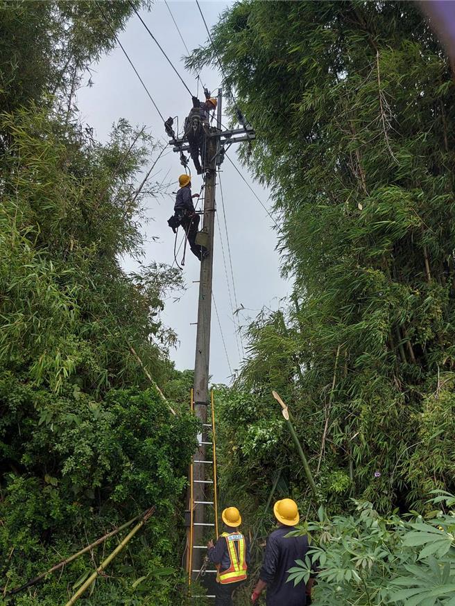 台電苗栗區營業處從24至25日中午止投入大量人力搶修，已復電14695戶，仍有1699戶停電中。（台電苗栗區處提供／謝明俊苗栗傳真）