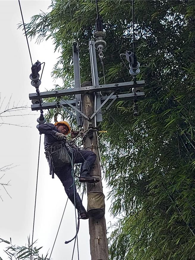 台電苗栗區營業處從24至25日中午止投入大量人力搶修，已復電14695戶，仍有1699戶停電中。（台電苗栗區處提供／謝明俊苗栗傳真）