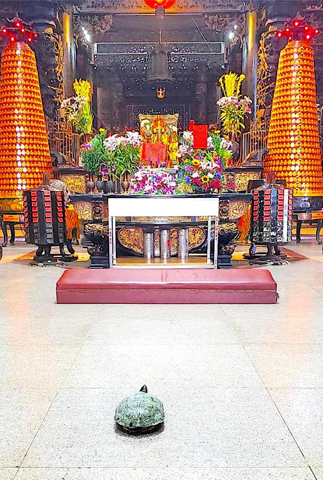 烏龜在拜墊前駐留不去。（廟方提供／寶智華台南傳真）