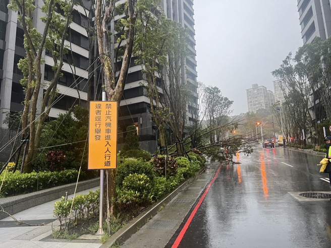 基隆市復興路一棵路樹不敵凱米吹襲倒臥在路旁，嚴重影響交通。（圖／警方提供）