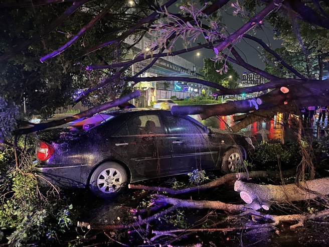 路树倒塌直接压在轿车上面，所幸驾驶没有受伤。（翻摄画面）