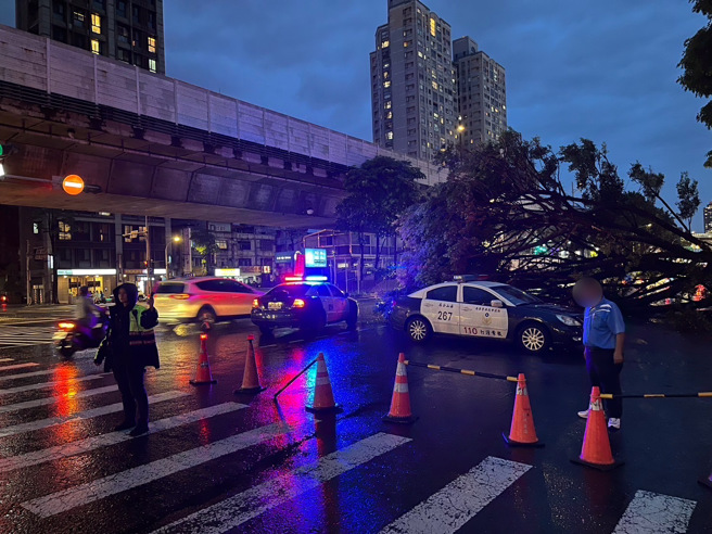 路树倒塌直接压在轿车上面，所幸驾驶没有受伤。（翻摄画面）