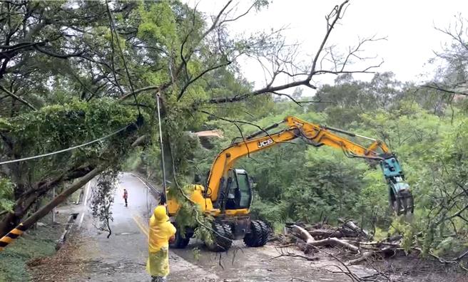 凯米「颱风尾」发威，金门昨深夜开始出现较大雨势与瞬间强阵风，部分路树倾倒陆续传出灾情。(图／民眾提供)